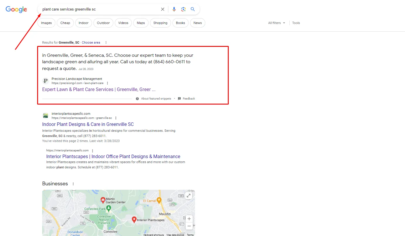Google search results for plant care services in Greenville, SC with Precision Landscape Management winning the Featured Snippet, the number-zero position above the organic results
